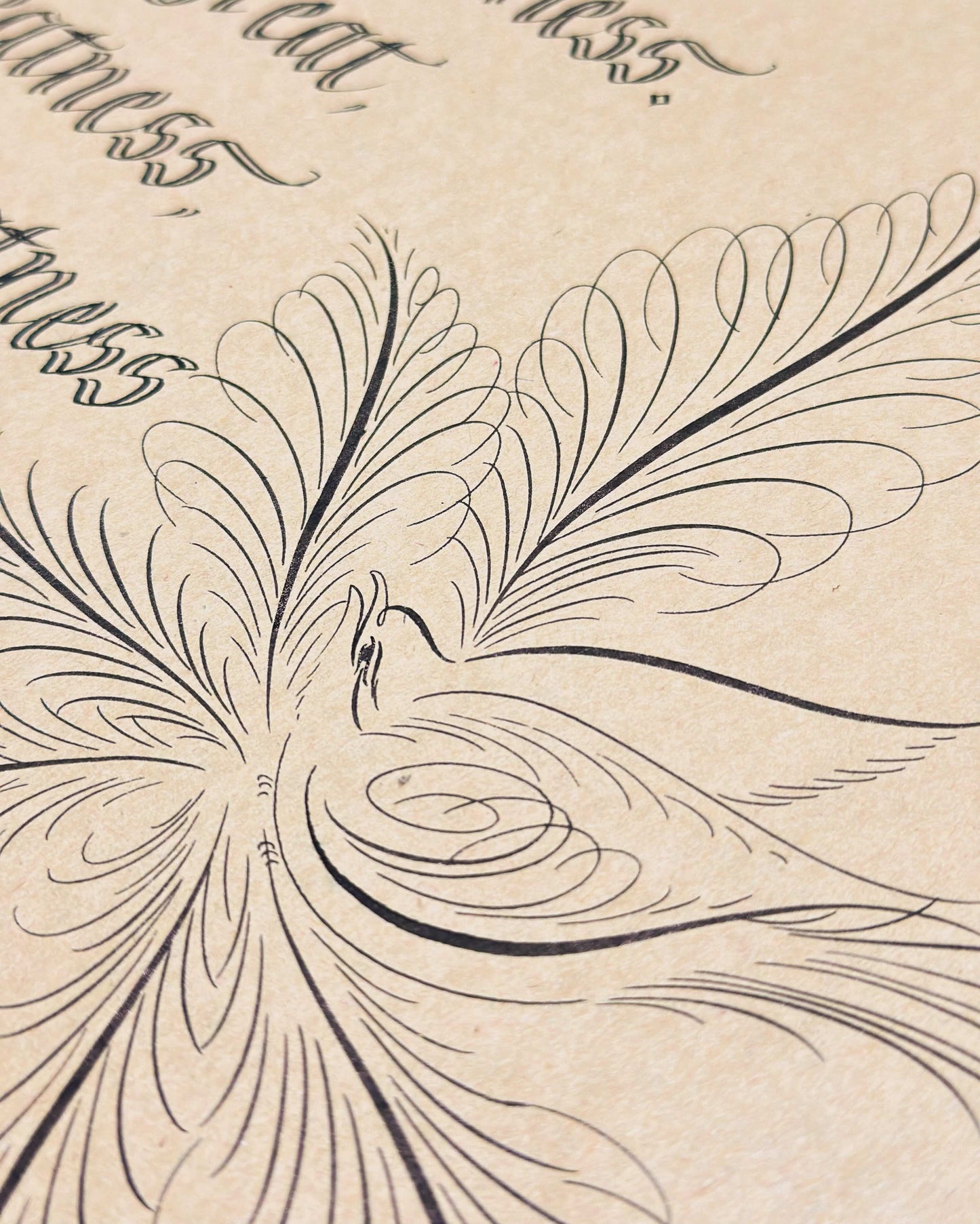 Offhand Bird Flourishing for Beginners (Quills & Birds)